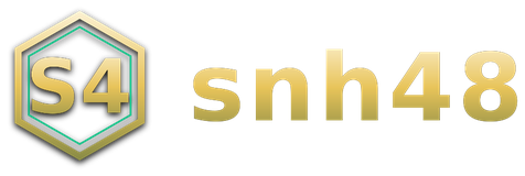 snh48 logo